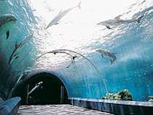横浜テクノタワーホテル 宿泊プラン一覧 楽天トラベル 横浜テクノタワーホテル 宿泊プラン一覧 楽天トラベル